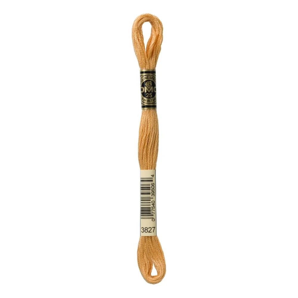 Linhas DMC em Tons Diversos para Ponto Cruz