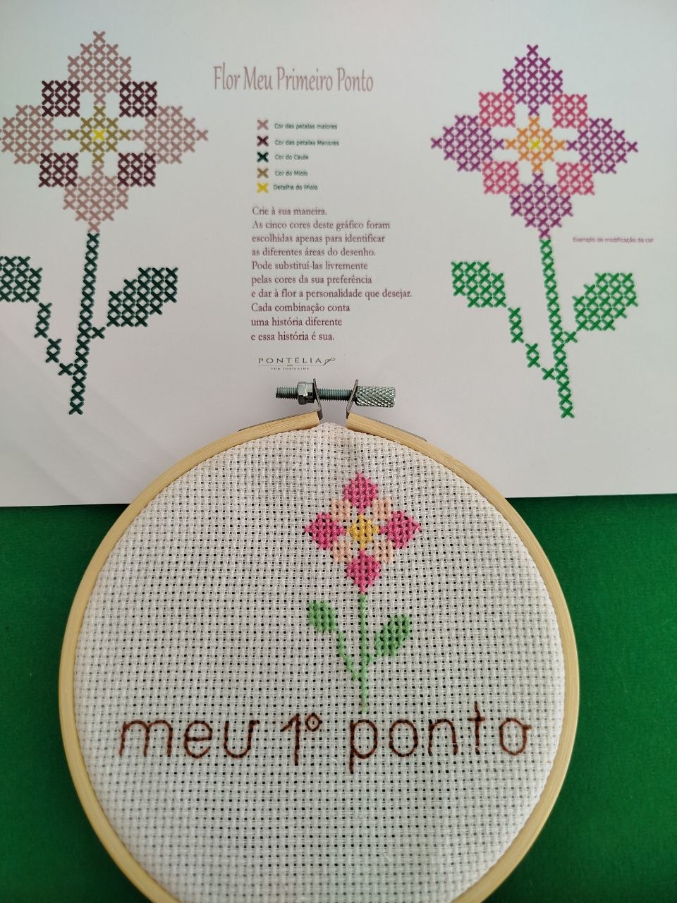 Kit Meu Primeiro Ponto — Gráfico Gratuito