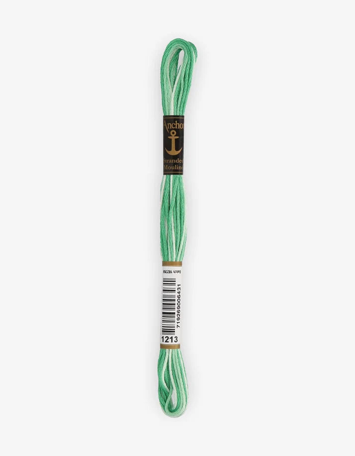 Meada de fio Mouliné Anchor, 8 m, verde em ombré multicolor