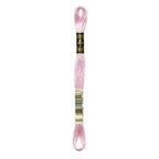 Meada de linha rosa claro para ponto cruz, com etiqueta e código de cor