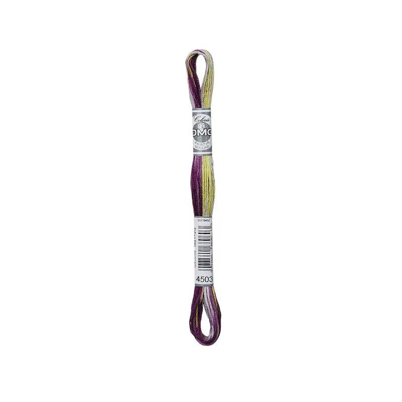 Meada de linha de bordar DMC multicolor, roxo com verde-oliva