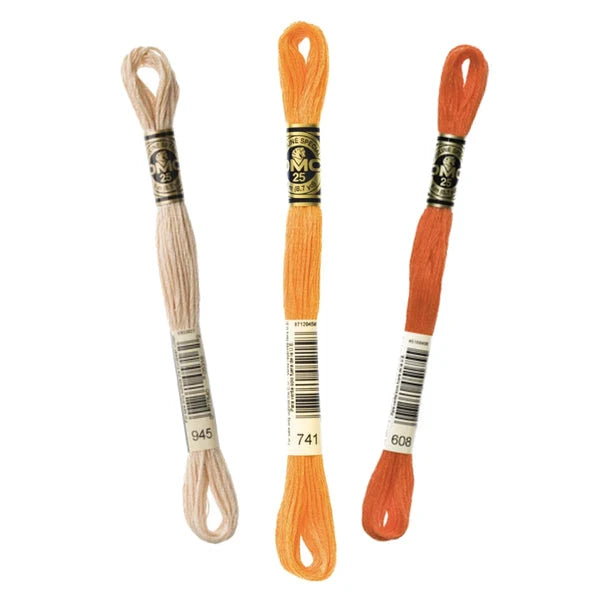 Linhas DMC em Tons de Laranja para Ponto Cruz